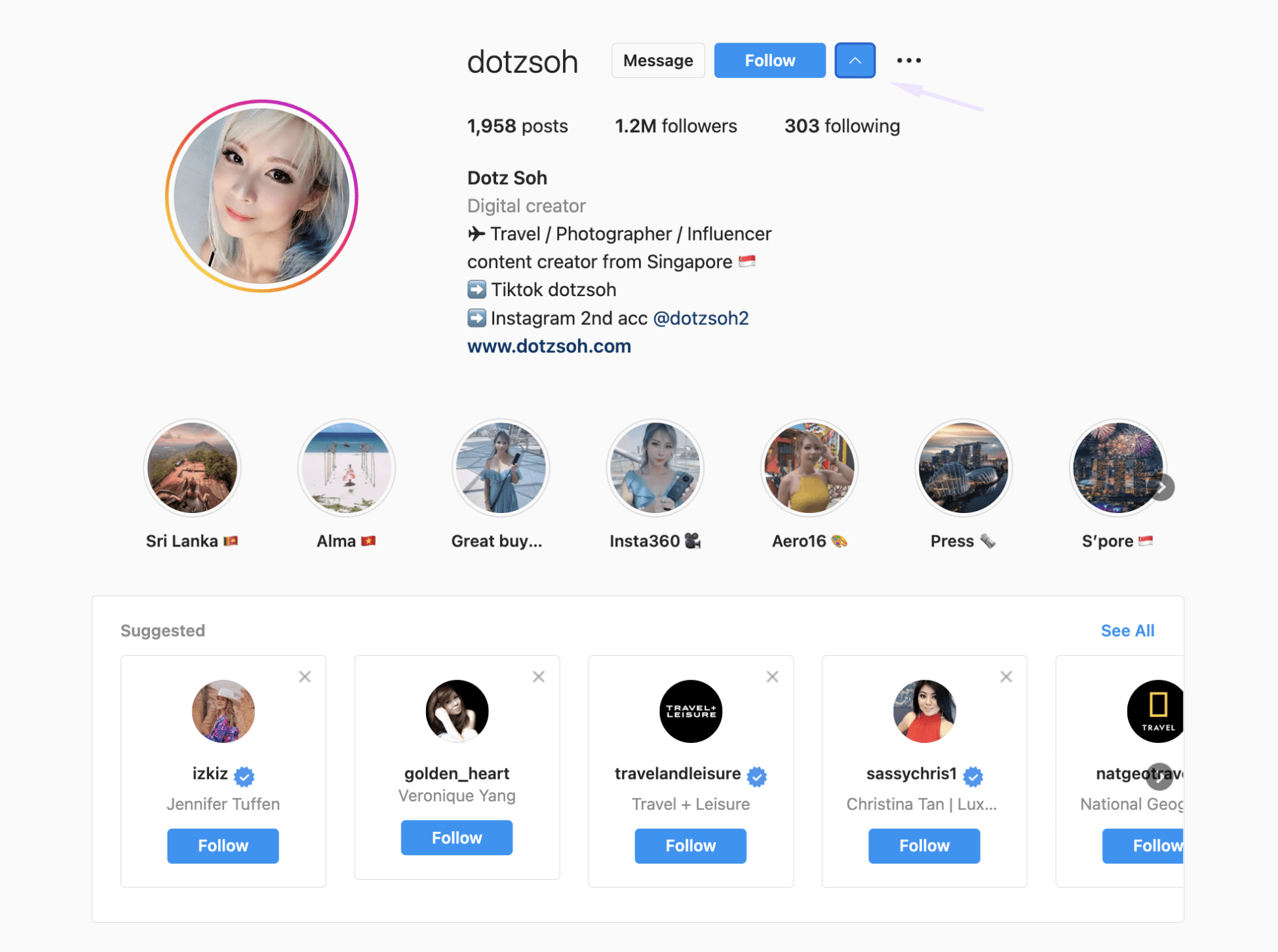 similar influencers to Dotz Soh  – Instagram similar profiles